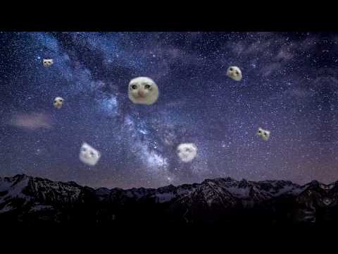 It's Currently Sad Catto Hours