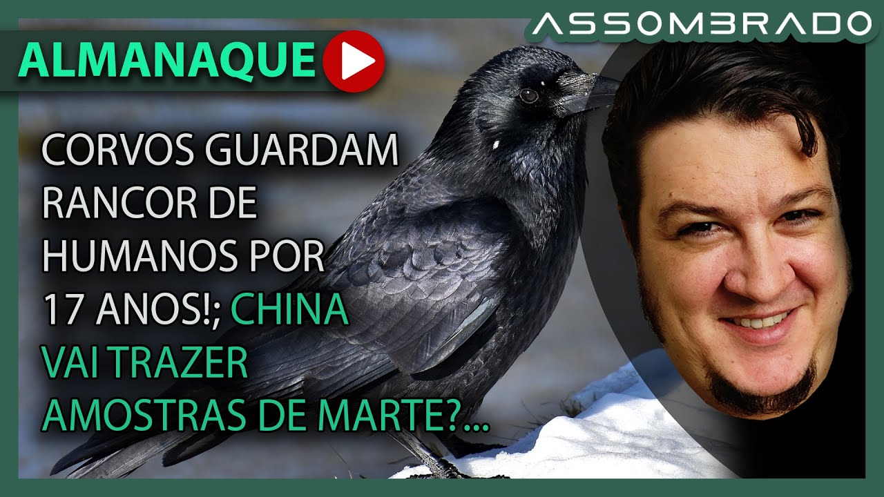 CHINA OU EUA VÃO TRAZER A 1ª AMOSTRA DE MARTE?; CORVOS GUARDAM RANCOR POR 17 ANOS! (A.A. #1316)
