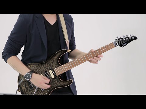 iPad Music App - Guitar Looping Demo with RemoFinger G