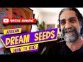 African Dream Seeds Entada Rheedii How To Use