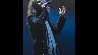 Serj Tankian - Bird of Paradise