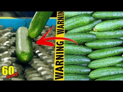 60 SECONDS Experiment - SHREDDING VS Cucumber | CRASH TEST