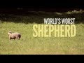 World S Worst Shepherd Gives A Lesson About Sheep