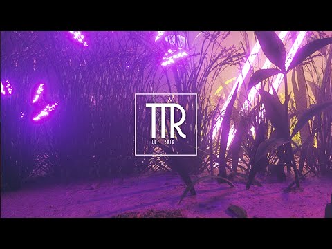 22 Void Beats & VERB - My Heart [Trap Town Release]