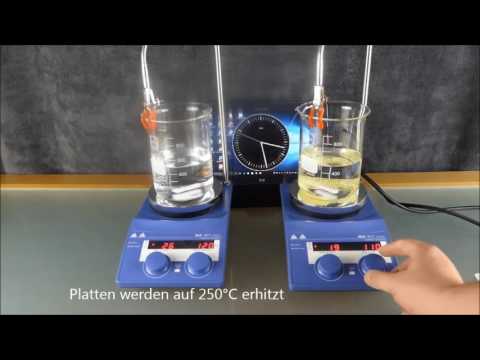 Wirkung Biocat Zeitraffer