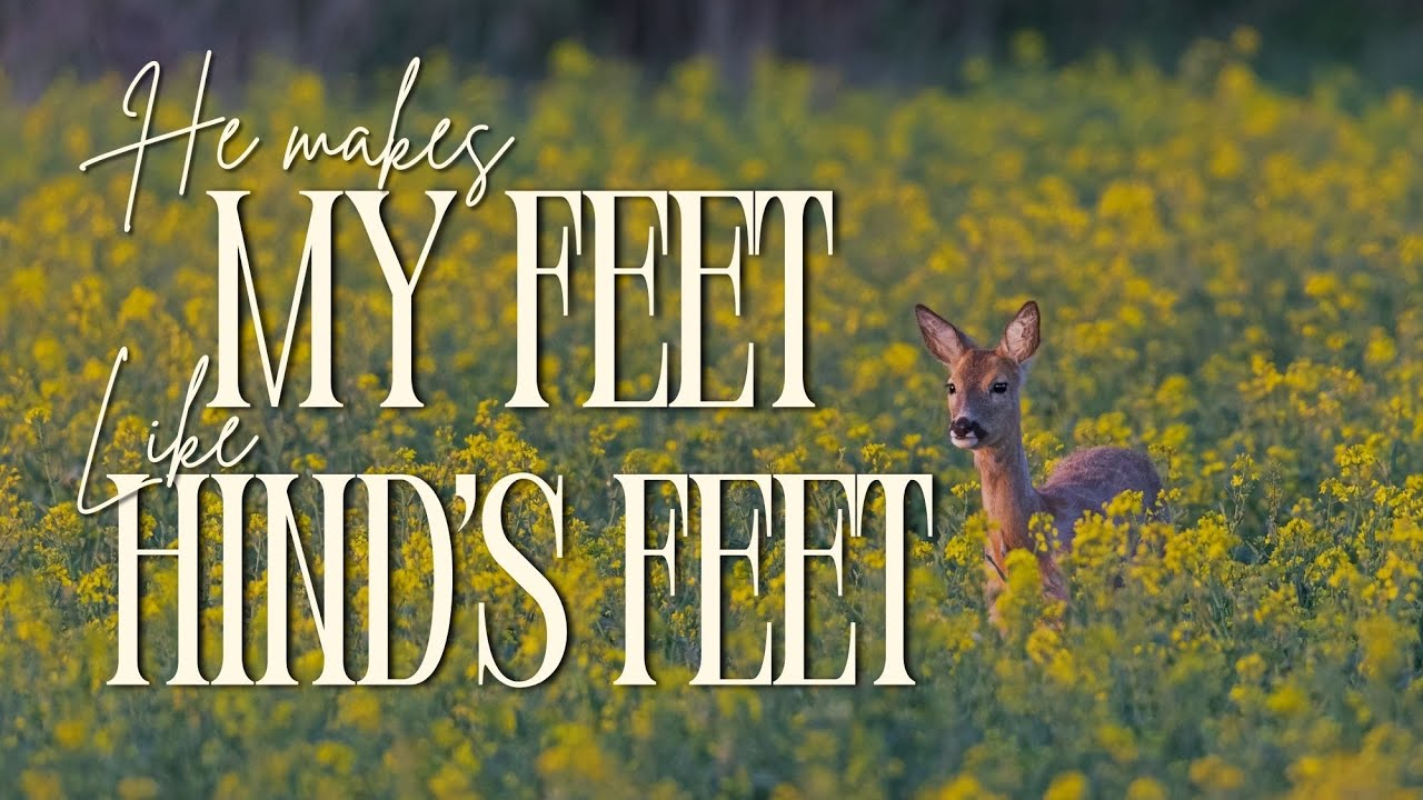 "He Makes My Feet Like Hinds' Feet” Rev. Brandon Puller  |  Tuesday PM