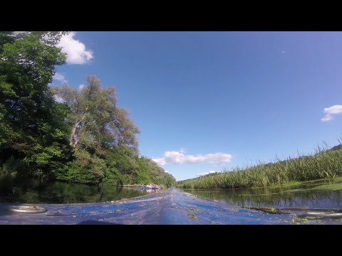 Kayaks Brightgrove, 2016