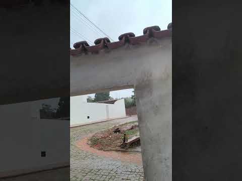 Olha o que está acontecendo em Ibiassucê no sertão da Bahia ☝️🌧️🌵. #chuvas #nordeste #roça #interior