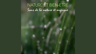 Fur Elise (La Musique de la Mer)