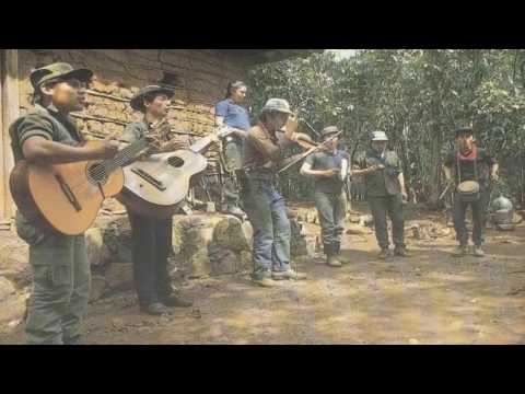 download lagu mp3 mp4 Los Torogoces De Morazan, download lagu Los Torogoces De Morazan gratis, unduh video klip Los Torogoces De Morazan