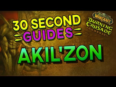 Akilzon - Zul'Aman - 30 Second Guides