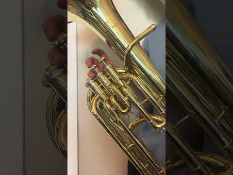 Rowell euphonium 2023 - Yellow Brass image 4