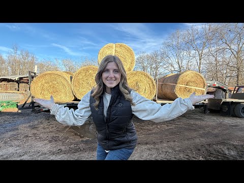 Just a Hay Run… Until We Decided to Upgrade the Sawmill!!