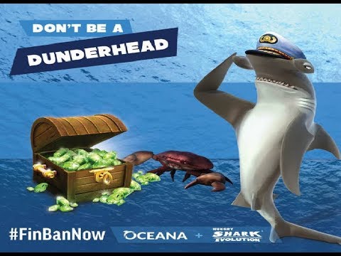 Hammerhead Shark Live Event (Most Crabs Eaten) - Hungry Shark Evolution