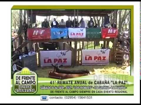 DE FRENTE AL CAMPO junto a CABAÑA "LA PAZ" de WERTHEIN