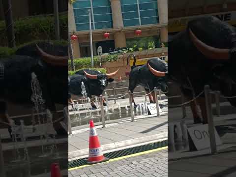 #malaysia2023 #sunwaylagoon #shortshorts #subscribe #sharmin #like