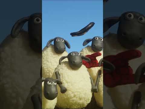 Sheep Sports #shaunthesheep #animation #cartoonforkids #english #sports
