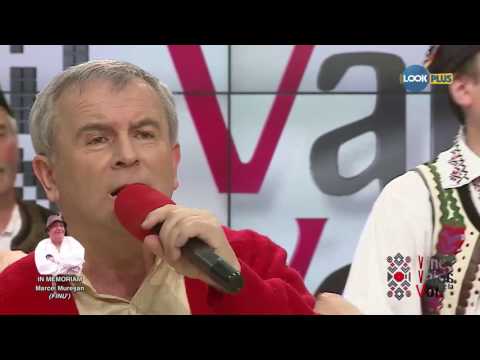 Sergiu Vitalian Vaida and the Nanas - State of the Nation