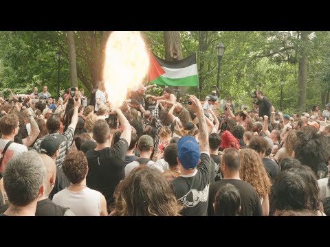 Warthog • FULL SET • New York, NY • 6.29.24