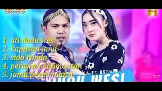 Download lagu brodin ft yeni inka full album (New pallapa) mp3