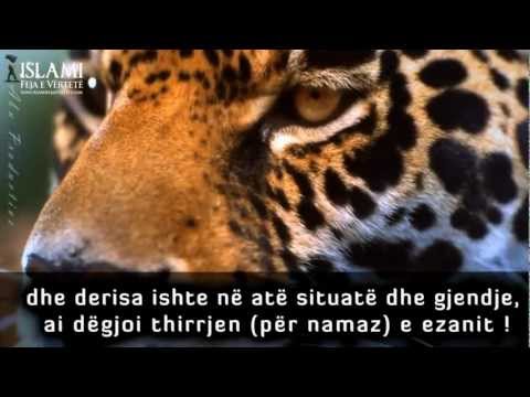 Falu deri ne frymën e fundit ᴴᴰ