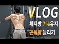 다시 시작하는 VLOG :: 린매스업 START!! (식단&운동루틴)