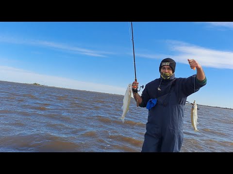 Pejerreyes de costa en Laguna de Melincue, santa fe. Martes 23 de junio