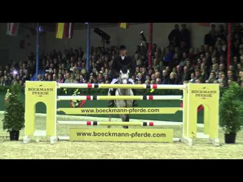 Christian by Cartani - Lord Liberty / Stallion Show Vechta 2014 - Böckmann Pferde