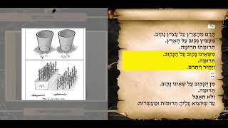 משניות דמאי פרק ה משנה י
