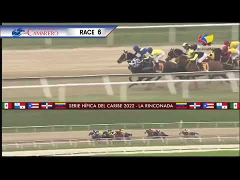 Irad Ortiz Jr. & SHARAPOVA ganan fácilmente la Copa Confraternidad (Yeguas) 2022 🇵🇷🇻🇪