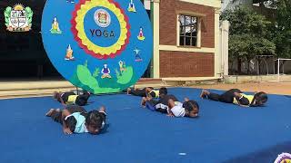 B.M.N Public School Video