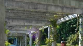 ···Amor Universal···