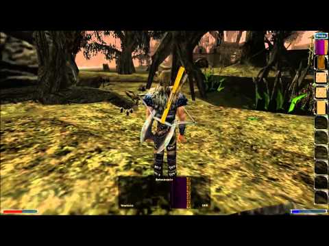 Zagrajmy w Gothic (Ulu mulu) part 31