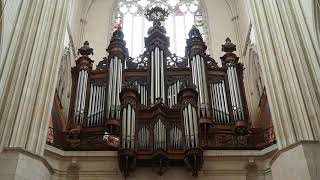 Luca Massaglia plays « Chacone » by Félix Moreau (no. 3 from « Suite modale »)