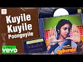 Aan Paavam Kuyile Kuyile Poonguyile Lyric Pandiarajan Revathi Ilaiyaraaja