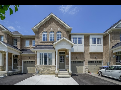 48 Seedland Crescent Brampton, Mohsin Shaikh