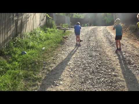 Pe ulita satului Lacu lui Baban