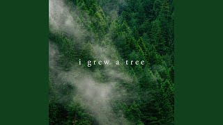I Grew a Tree Music Video