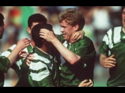 Republic of Ireland v Northern Ireland 1993
