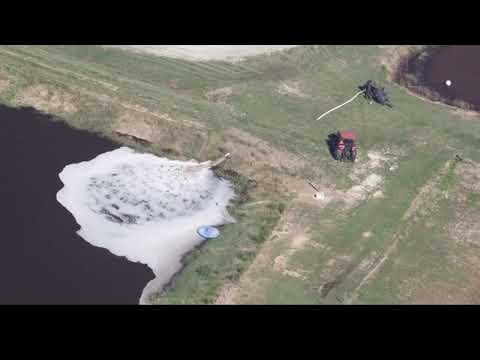 Harms of Concentrated Animal Feeding Operations CAFOs