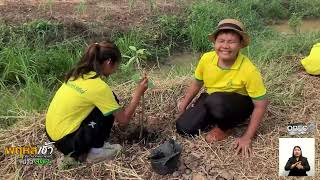 รายการ “พฤหัสเช้า ข่าว สพฐ.” ช่วง เรื่องเล่า ข่าว สพฐ. ครั้งที่ 42/2568 ( Part 1/3 )