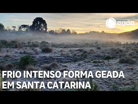 Frio intenso forma geada durante a madrugada em Santa Catarina