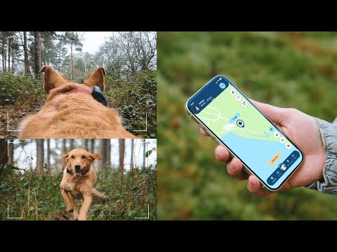 PetLinkGPS Tracker