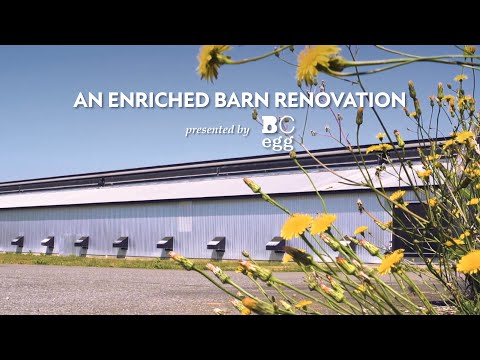 An Enriched Barn Renovation with Planeview Farms