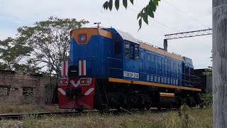 TEM2M-248 shunting diesel loco with semi wagons