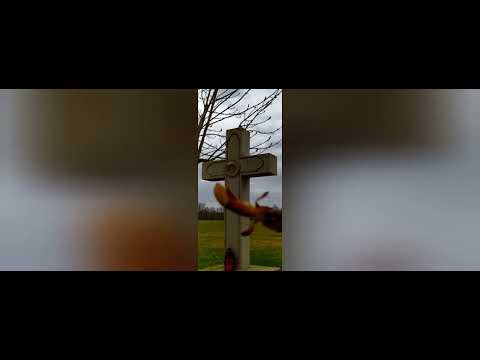 Zámek Mostov a okolí.