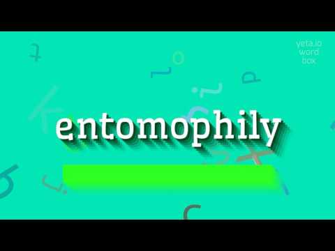 HOW TO PRONOUNCE ENTOMOPHILY? #entomophily