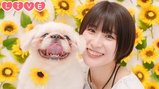 【Live】ちゃちゃまる?と雑談配信