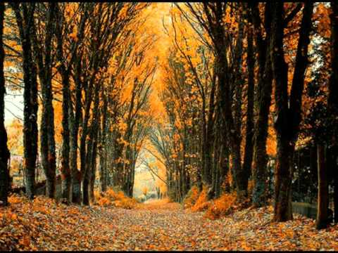 A volte il silenzio - Gaetano Azzali