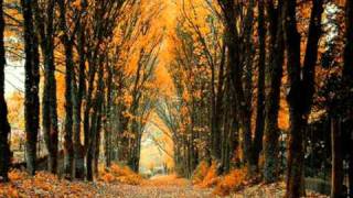 A volte il silenzio - Gaetano Azzali